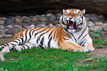 Similar image 5618423