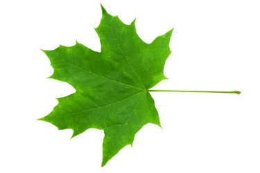 Similar image 5618429