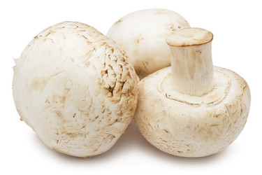 Similar image 5618433