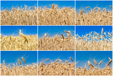 Similar image 5618469