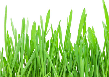 Similar image 5618484