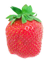 Similar image 5618489