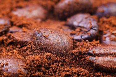 Similar image 5618550