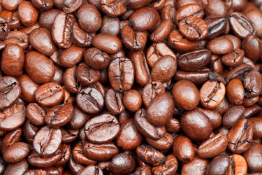 Similar image 5618687