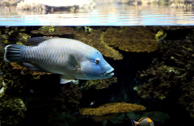 Similar image 5619324