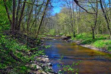 Similar image 5619412