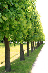 Similar image 5619417