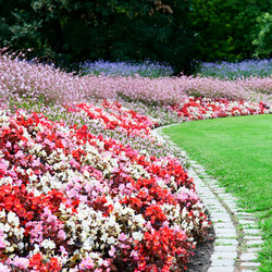 Similar image 5619477