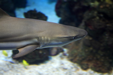 Similar image 5619484