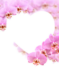 Similar image 5619487