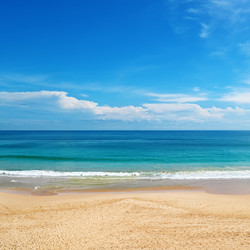 Similar image 5619495