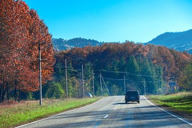 Similar image 5619503