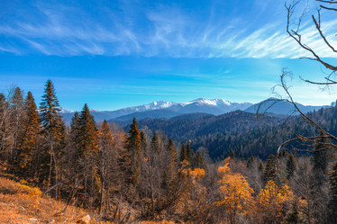 Similar image 5619518