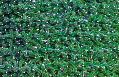 Similar image 5619525