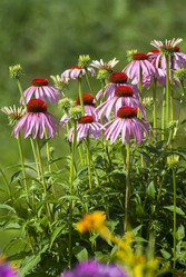 Similar image 5619527