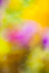 Similar image 5619529