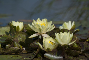 Similar image 5619534