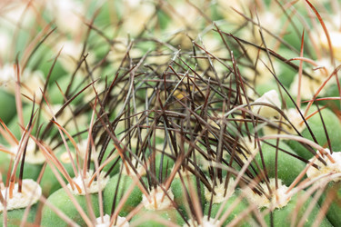 Similar image 5619565