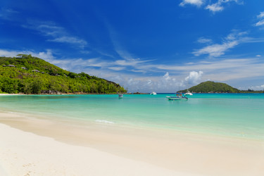 Similar image 5619566