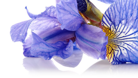 Similar image 5619695