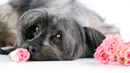 Similar image 5619696