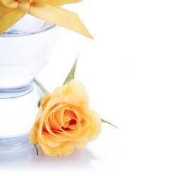 Similar image 5619701