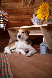 Similar image 5619703