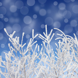 Similar image 5619722