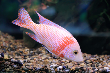 Similar image 5619783