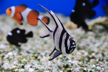 Similar image 5619784