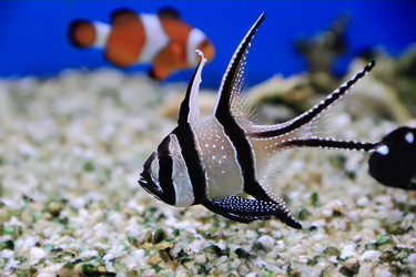 Similar image 5619789