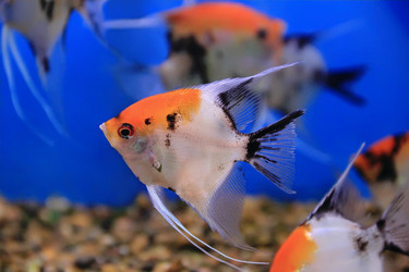 Similar image 5619797