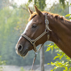 Similar image 5620003