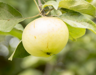 Similar image 5620006