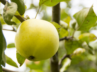 Similar image 5620007