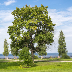 Similar image 5620008