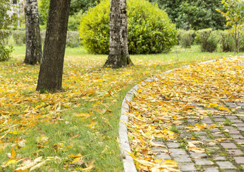 Similar image 5620009