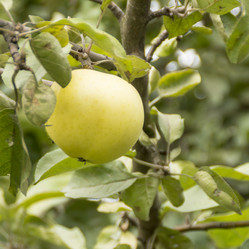 Similar image 5620015