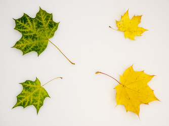 Similar image 5620018