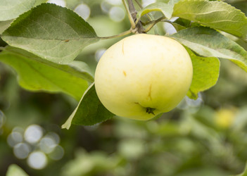 Similar image 5620021