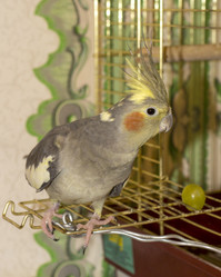 Similar image 5620027