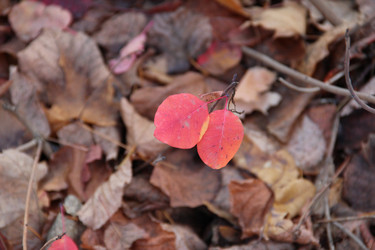 Similar image 5620032