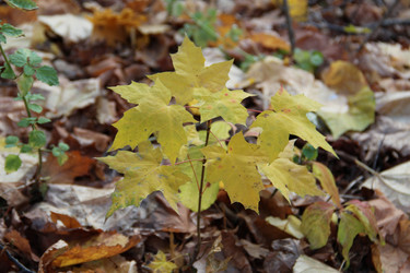 Similar image 5620036