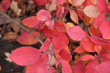 Similar image 5620040