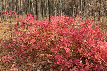 Similar image 5620042