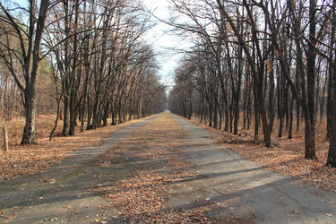 Similar image 5620043