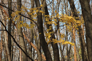 Similar image 5620052