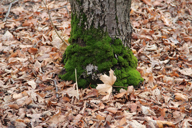 Similar image 5620053