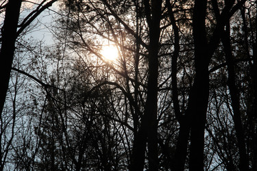 Similar image 5620055