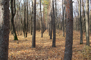 Similar image 5620056